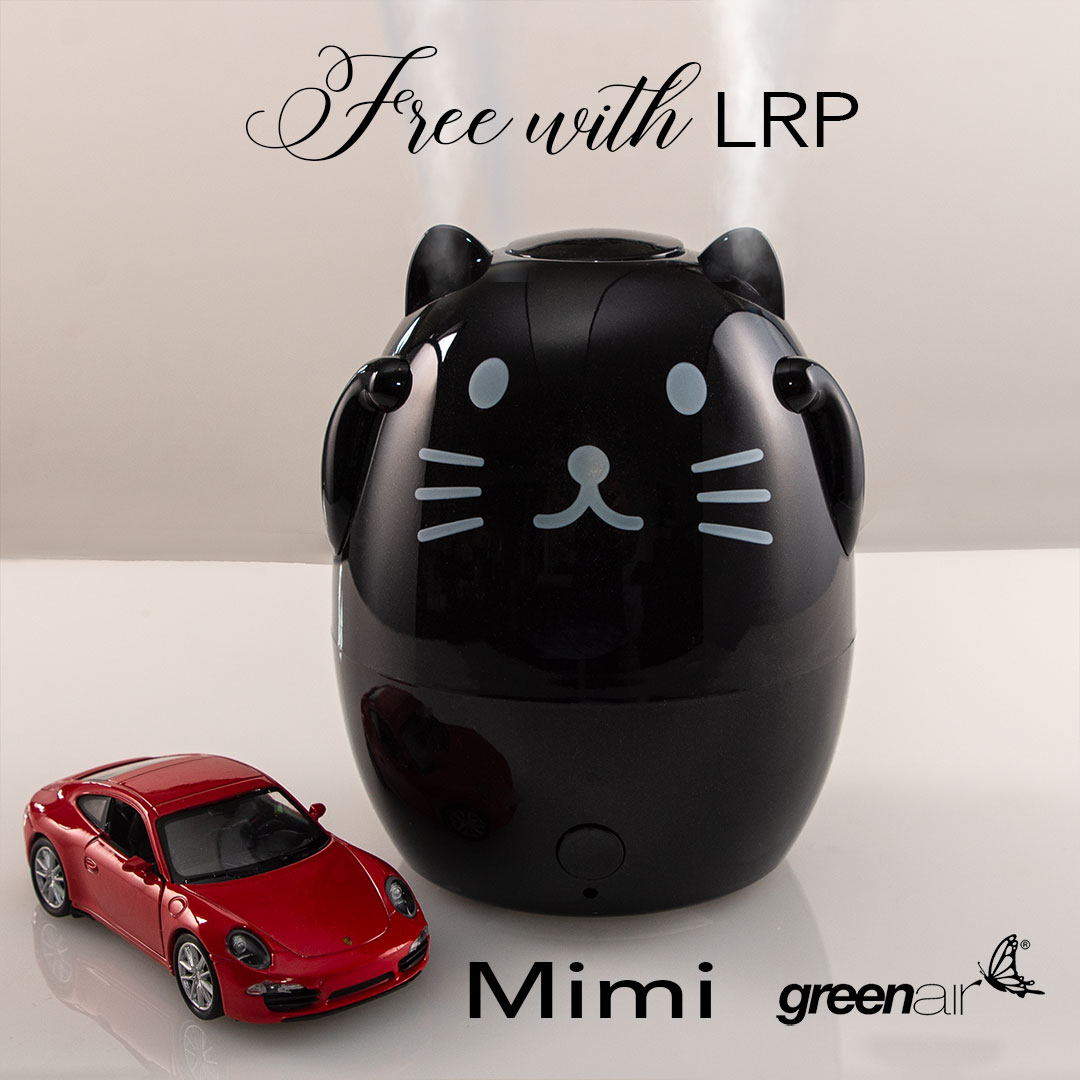 Creature Comforts – Mimi the Cat LRP